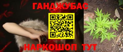 СК Гатчина