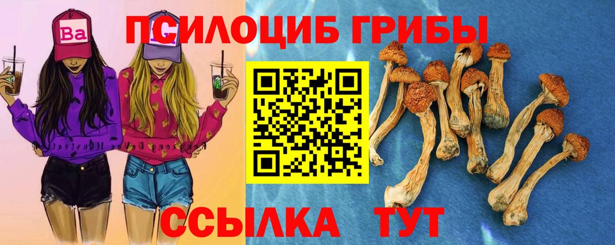 купить наркотики цена  Вход с VPN  Новокуйбышевск  Галлюциногенные грибы MAGIC MUSHROOMS 
