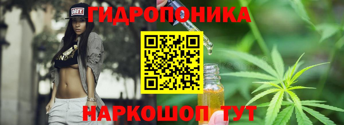 МАРИХУАНА Amnesia  Бошки марихуана White Widow  Новокуйбышевск  Каннабис план  Вход с VPN 